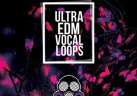 Ultra EDM Vocal Loops WAV