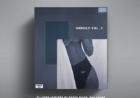 KXVI Unruly Loop Kit Vol. 2 WAV