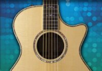 100 Most Popular Songs for Fingerpicking Guitar PDF
