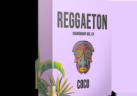 Antian Rose Reggaeton Samplepack Vol. 01 WAV