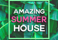 Artis Audio Amazing Summer House WAV MIDI