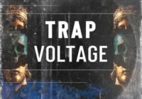 BFractal Music Trap Voltage WAV