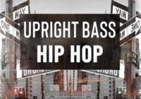 BFractal Music Upright Bass Hip Hop WAV