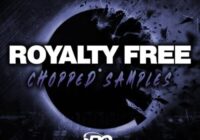 Big Citi Loops Royalty Free Chopped Samples WAV