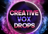 Catalyst Samples Creative Vox Drops WAV