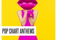 Concept Samples Pop Chart Anthems WAV