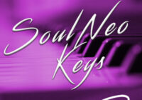 Diversitility Soul Neo Keys WAV