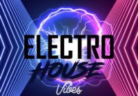 Roundel Sounds Electro House Vibes Vol.1 WAV MIDI