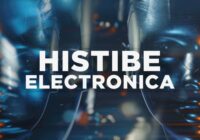 Image-Line Flex Expansion – Electronica by Histibe