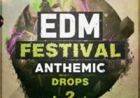 Immense Sounds EDM Festival Anthemic Drops 2 WAV MIDI