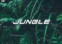 Flame Audio Jungle (Construction Kits) WAV MIDI