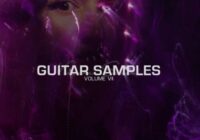 KOOKUP Guitar Samples Vol. 7 WAV