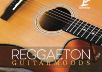 Luigi Production Reggaeton Guitar Moods 1 WAV