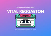 Modern Samples Vital Reggaeton WAV