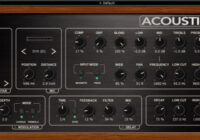 Nembrini Audio NA Acoustic Voice v1.0.0 VST VST3 AAX [WIN]