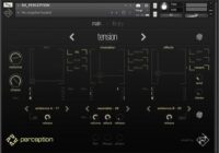 Rigid Audio Perception KONTAKT