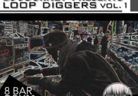 Trip Digital Loop Diggers WAV