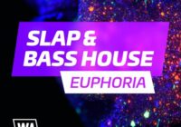 Slap & Bass House Euphoria WAV