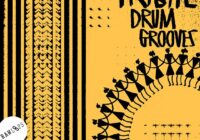 Raw Loops Tribal Drum Grooves WAV