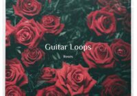 BK Andersen – Guitar Loops Roses