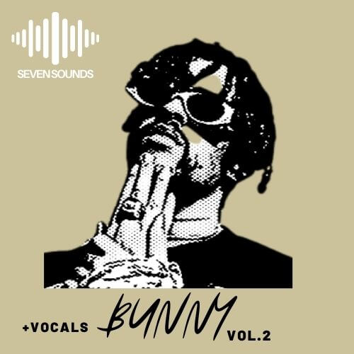 Seven Sounds Bunny Vol. 2 WAV MIDI