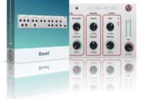 Caelum Audio Beef v1.0.1 VST3 AU AAX