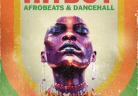 VBGotHeat HitBoy – Afrobeats & Dancehall WAV MIDI