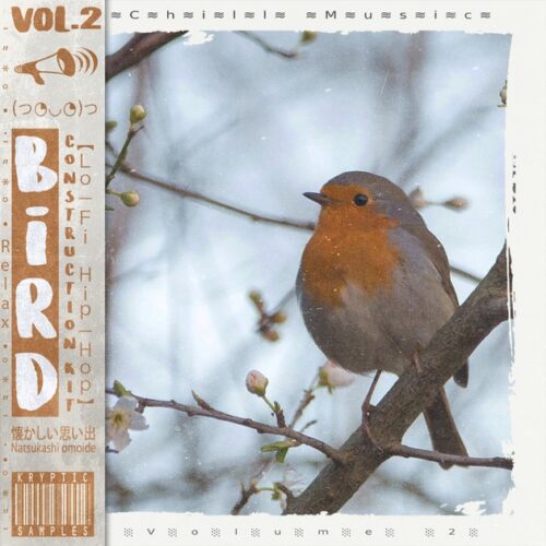 Kryptic Samples Bird Vol. 2 WAV MIDI
