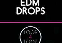 Loop 4 Loop EDM Drops WAV