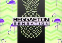 Kryptic Samples Reggaeton Sensation Vol.1 WAV MIDI