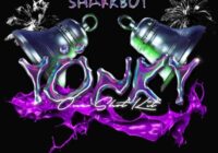 Sharkboy & UPMADEIT “Yonky” One Shot Kit WAV