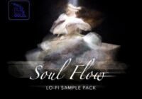 TrakTrain Soul Flow Lo-Fi Sample Pack WAV