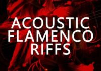 Blackwood Samples Acoustic Flamenco Riffs WAV