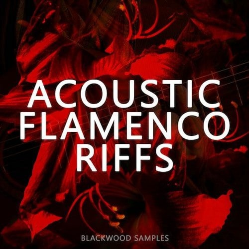 Blackwood Samples Acoustic Flamenco Riffs WAV