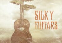 Cartel Loops Silky Guitars WAV