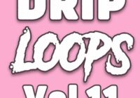 DiyMusicBiz Drip Loops Vol 11 WAV