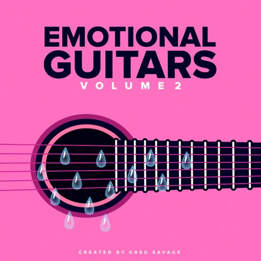 DiyMusicBiz Emotions Guitar SoundPack Vol 2 WAV