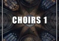 Dynasty Loops Choirs 1 WAV