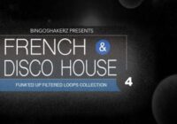 BS044 French & Disco House 4 WAV