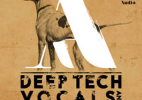 Artisan Audio Deep Tech Vocals & Electronica WAV