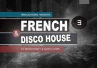 BS037 French & Disco House 3 WAV