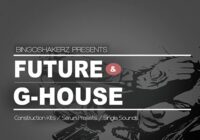 BS040 Future & G-House WAV MIDI FXP