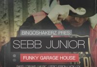 Sebb Junior Funky Garage House WAV