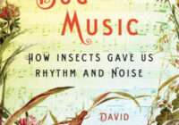 Bug Music: How Insects Gave Us Rhythm & Noise by David Rothenberg PDF