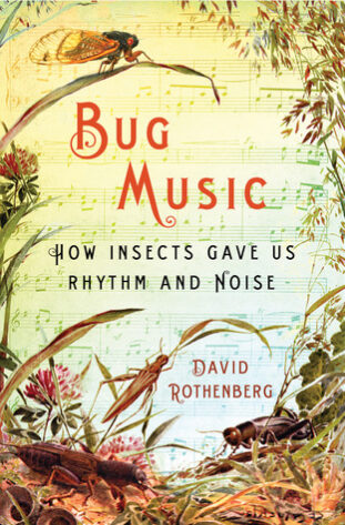 Bug Music: How Insects Gave Us Rhythm & Noise by David Rothenberg PDF