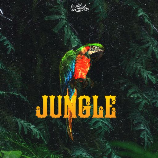 Cartel Loops Jungle Part 1 WAV MIDI