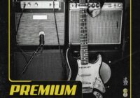 Cartel Loops Premium Guitars WAV