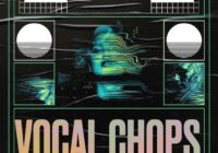 Cartel Loops Vocal Chops WAV