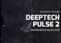 Delectable Records DeepTech Pulse 02 MULTIFORMAT