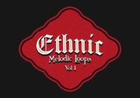 DiyMusicBiz Ethnic Melodic Loops Vol.1 WAV